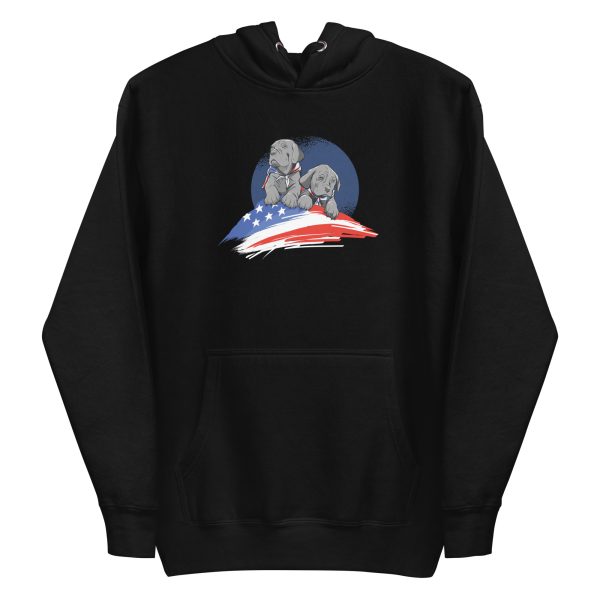 unisex-premium-pullover-hoodie-black-front-6a169035b6768.jpg American Dogs Hoodie
