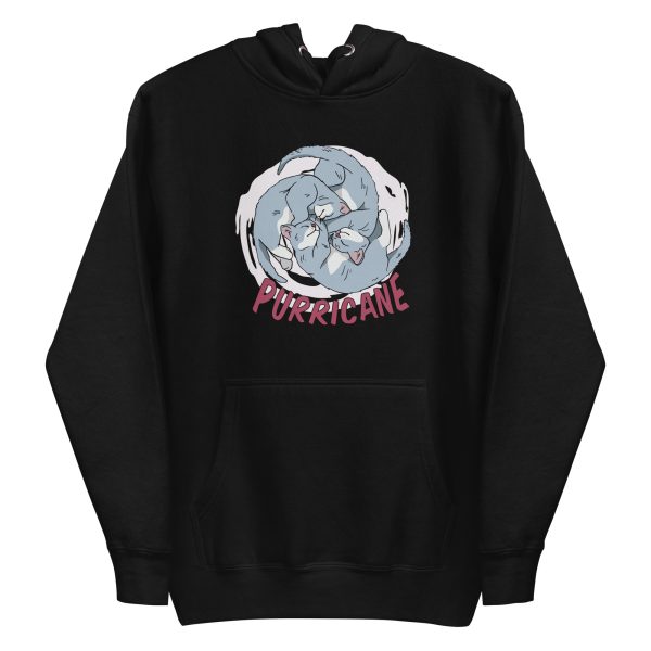 unisex-premium-pullover-hoodie-black-front-6a16d9d25c866.jpg Purricane Hoodie