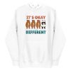 unisex-premium-pullover-hoodie-white-front-6a182d57c88bc.jpg It's Okay To Be Different Hoodie