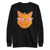 unisex-premium-sweatshirt-black-front-6a16f46dc6d30.jpg Stylish Glasses Cat Sweatshirt