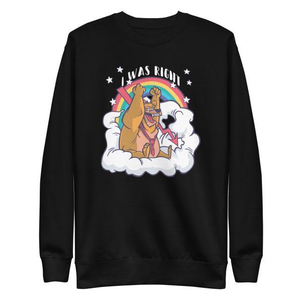 unisex-premium-sweatshirt-black-front-6a1bc4c055050.jpg I Was Right Bear Market Sweatshirt