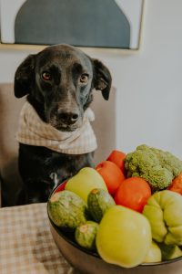 safe vegetables for dogs