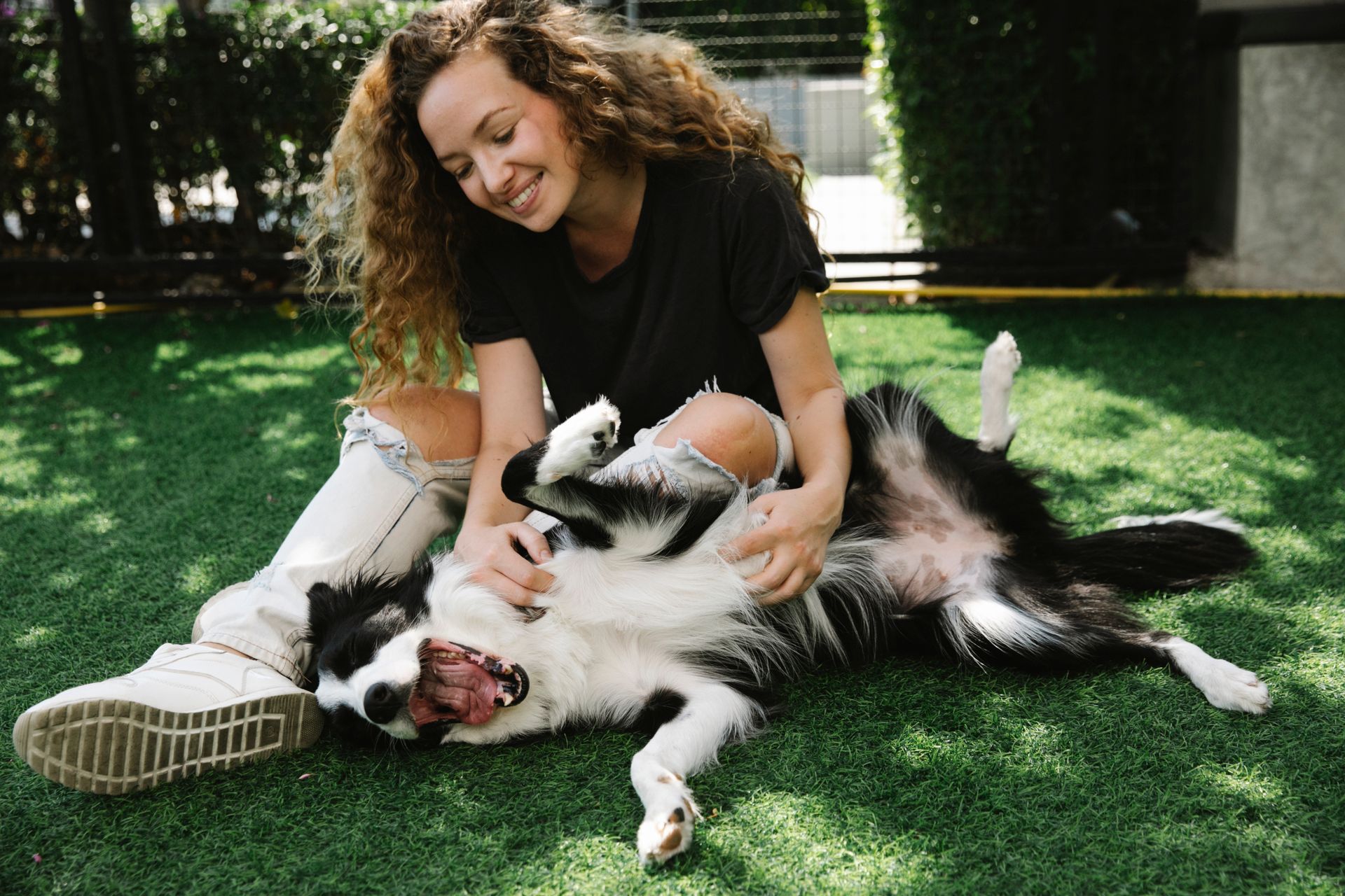 dog body language