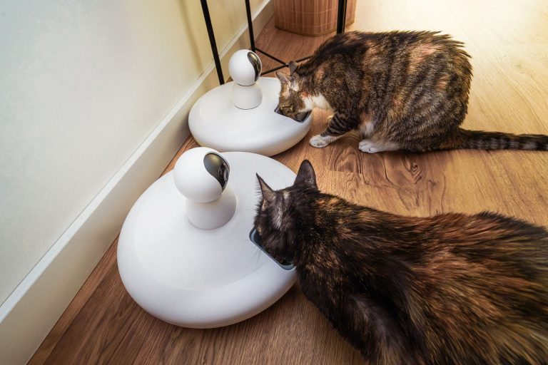 automatic pet feeders